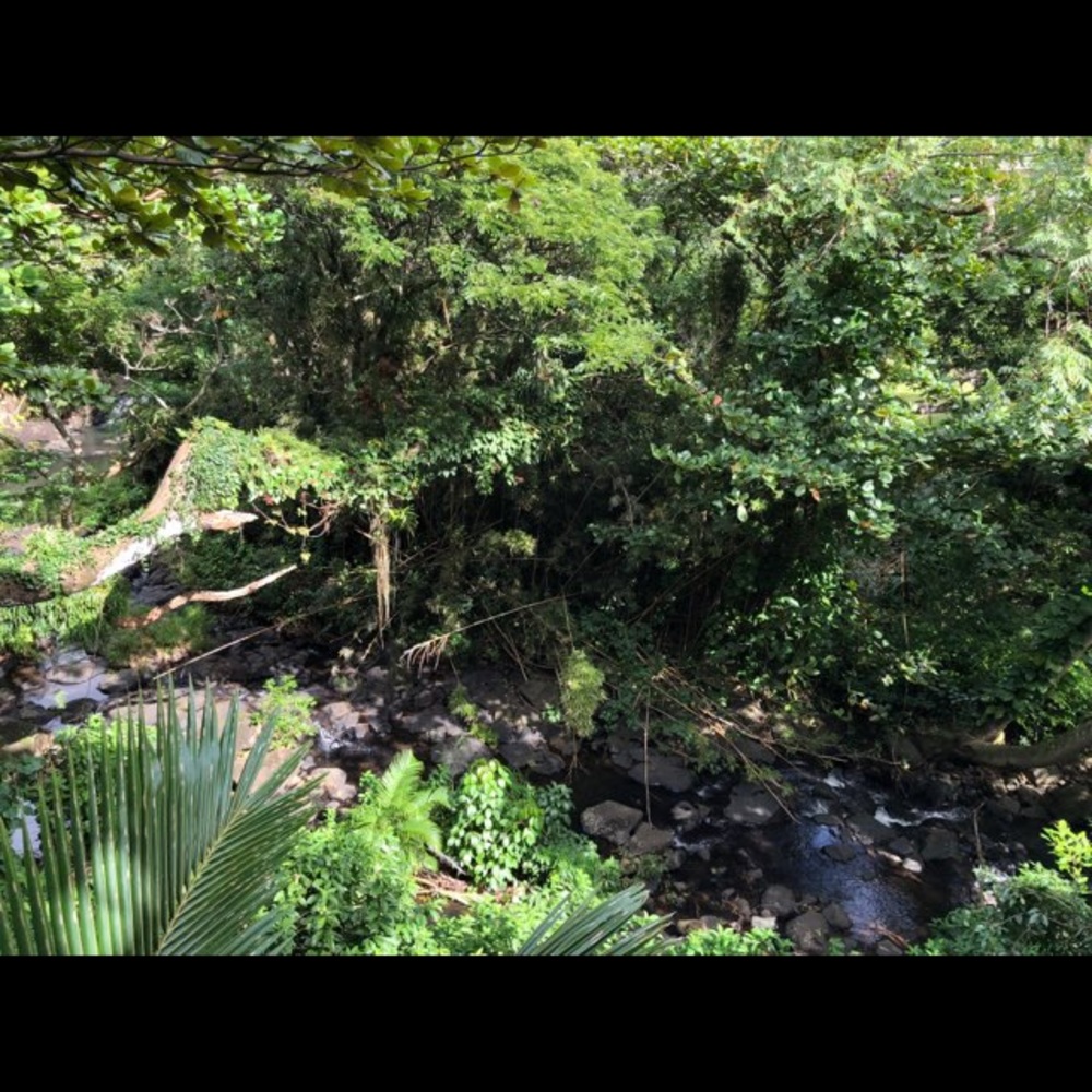 Meet your Posher, Isa